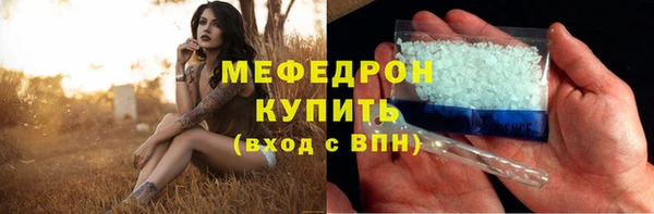 индика Кинешма