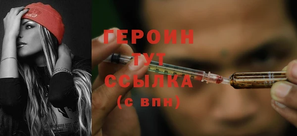 индика Кинешма