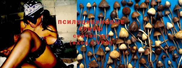 индика Кинешма
