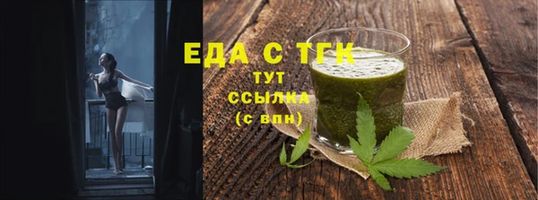 индика Кинешма