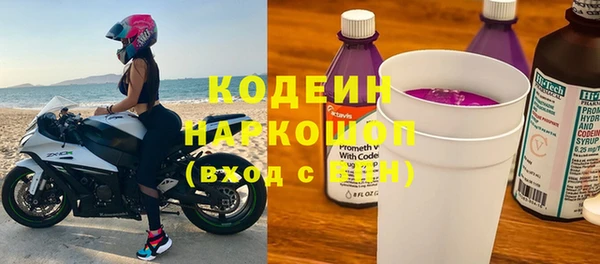 индика Кинешма